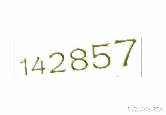 7777788888一肖一码,探索神秘数字组合，77777与88888一肖一码的魅力与启示