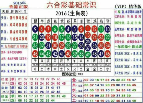 2024十二生肖49码表,揭秘2024十二生肖与数字彩票的奥秘，一份详尽的49码表指南