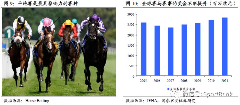 香港马买马网站www,香港马买马网站——探索在线赛马世界的门户