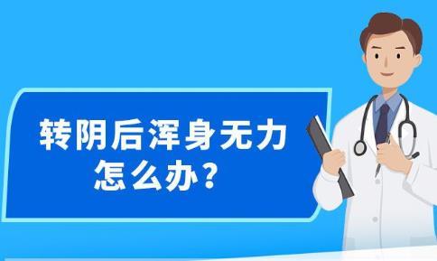 新澳精准资料大全免费更新,新澳精准资料大全免费更新，助力信息获取与决策制定