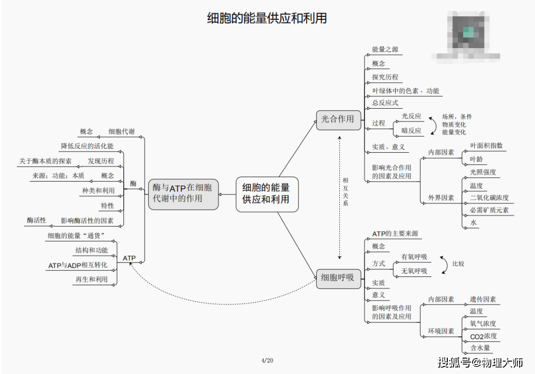 白小姐三肖三期必出一期开奖哩哩,白小姐三肖三期必出一期开奖哩哩——揭秘彩票神话与真实概率