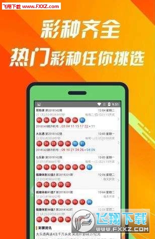 王中王493333中特1肖,探索王中王的神秘数字世界，王中王493333中特1肖的独特魅力