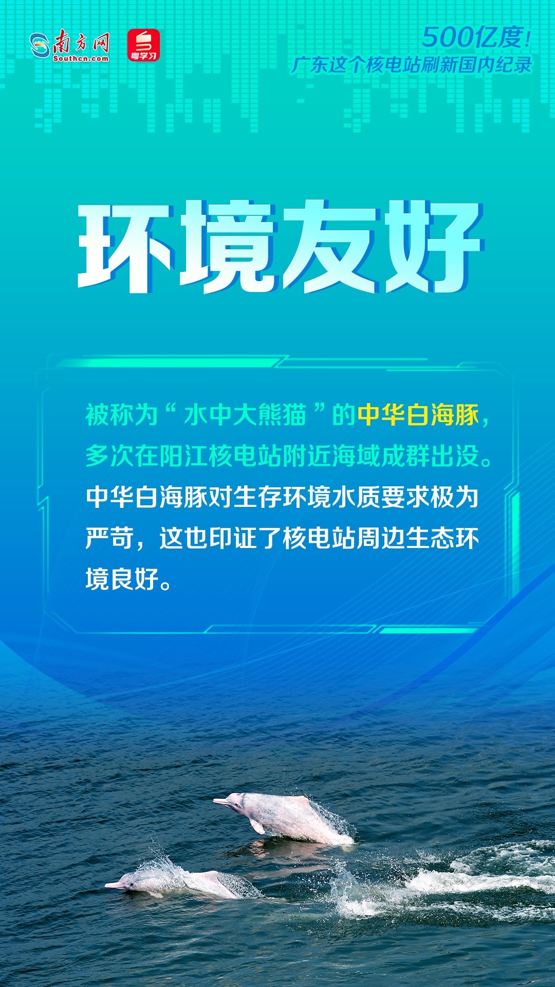 2025年今期2025新奥正版资料免费提供,探索未来之门，关于2025年正版资料的免费提供之路